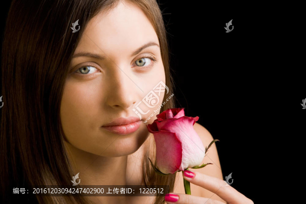 夫人的玫瑰