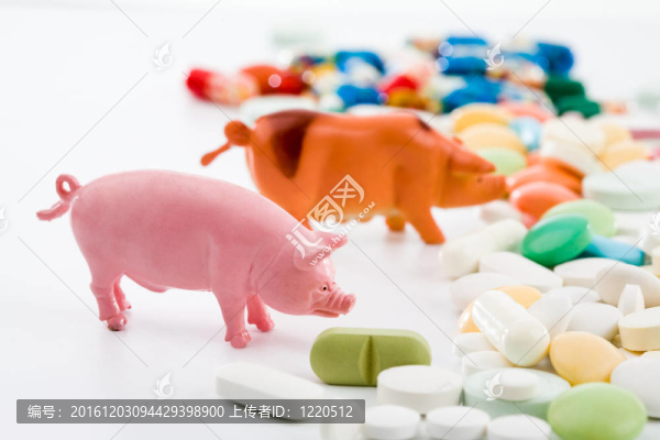 新的病毒防治