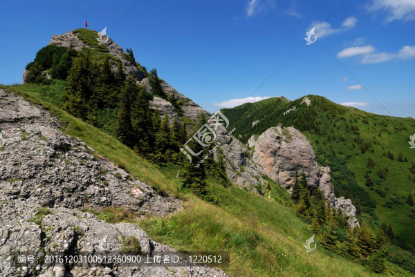 在喀爾巴阡山區(qū)景觀；羅馬尼亞