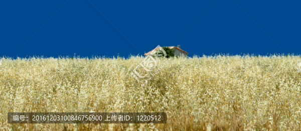 田園風(fēng)光與田園風(fēng)光