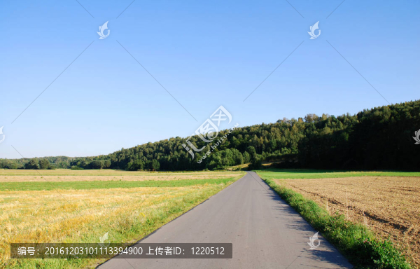 鄉(xiāng)村路