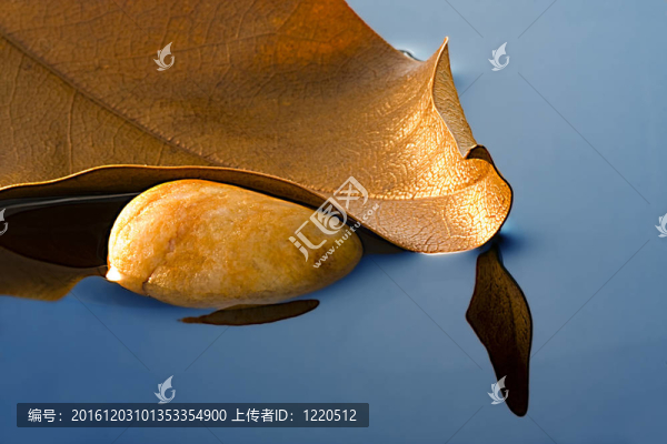 秋天