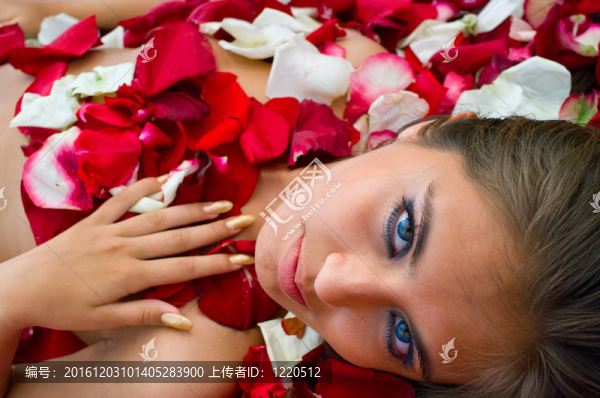 玫瑰花瓣中的少女