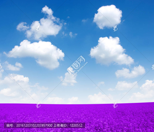 景觀