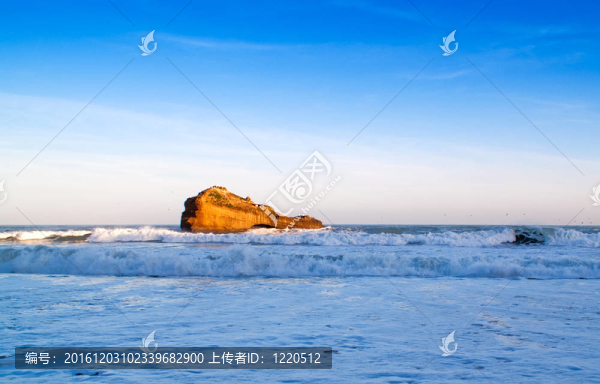 海洋