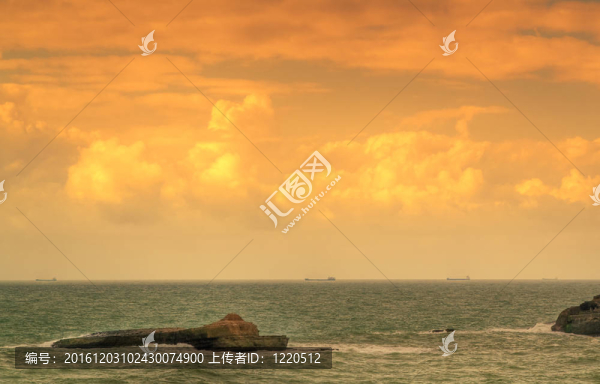 海洋