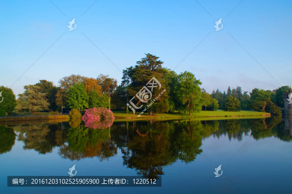 景觀
