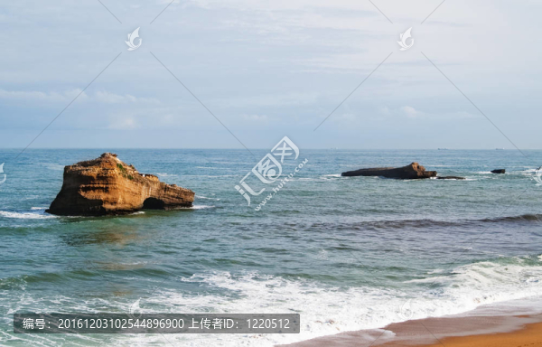 海洋
