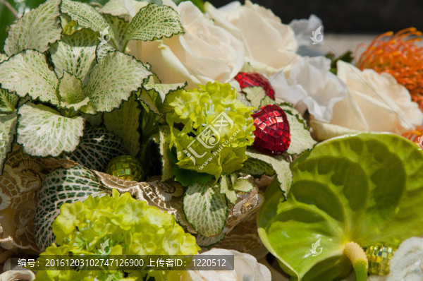 蔬菜和水果沙拉