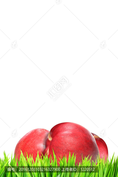 潮濕的草地上油桃；白色隔離