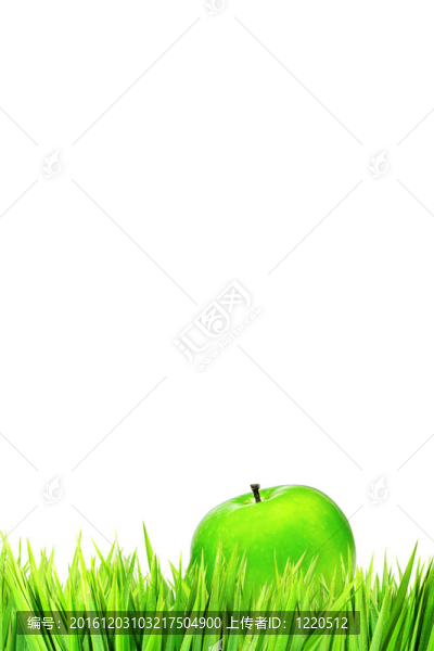 草地上的蘋果；垂直射擊。白色孤立。