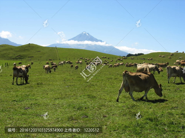 塔拉納基山