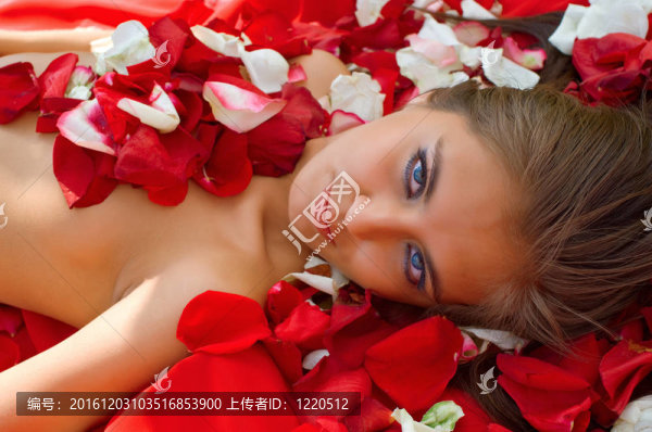 玫瑰花瓣女孩