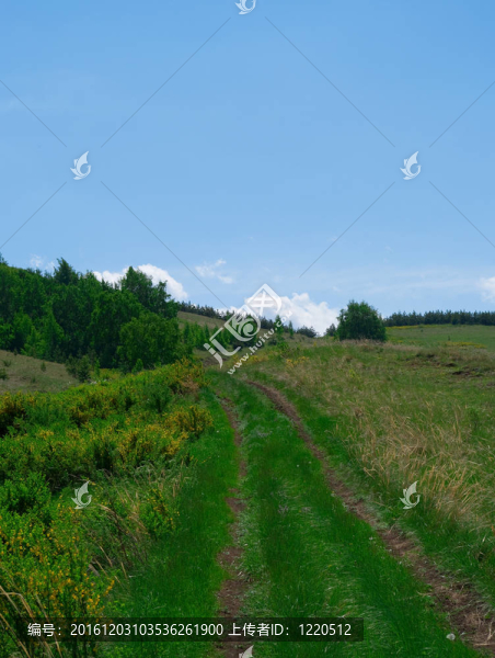 景觀道路