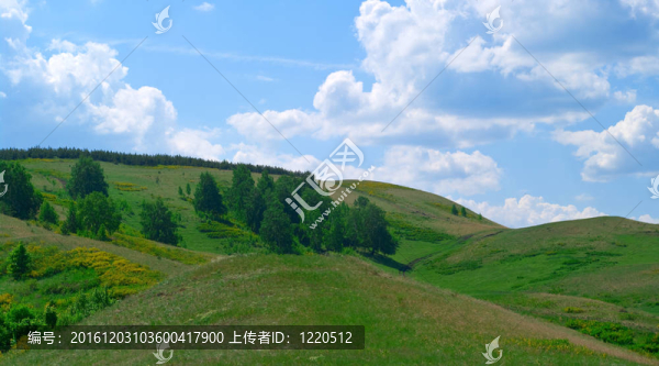 烏拉爾山丘陵