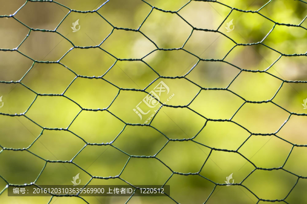 綠色背景圍欄