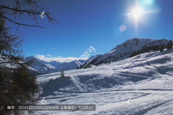 冬季景觀和阿爾卑斯山；瑞士
