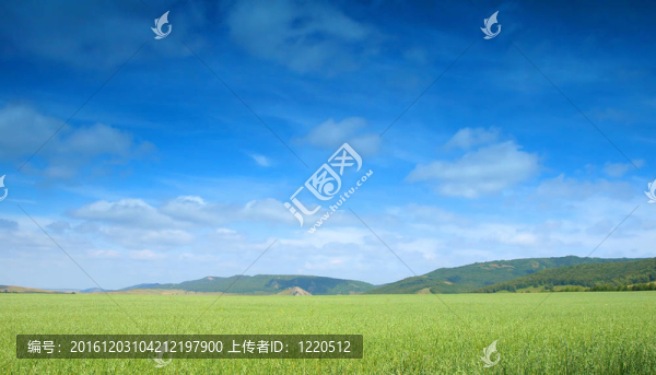 夏天的風(fēng)景
