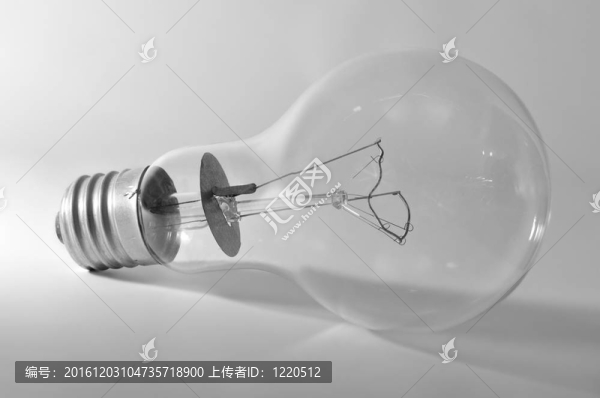電燈泡