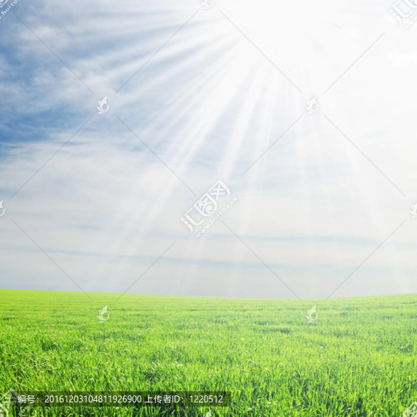 磁場和太陽