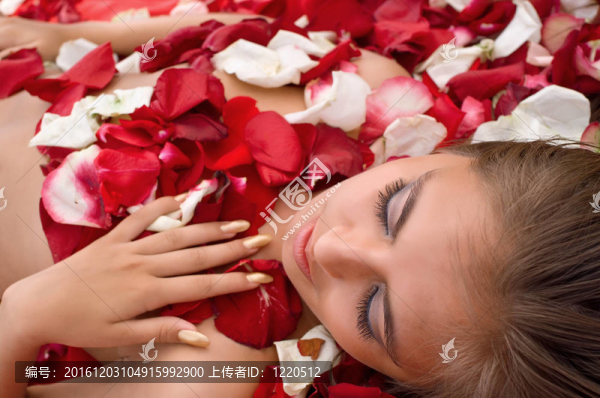 睡在玫瑰花瓣上的女孩
