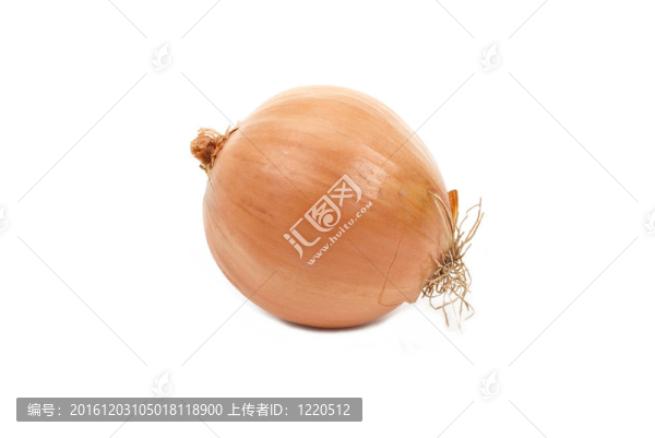 洋蔥