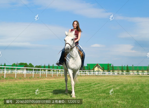 寧靜的女孩騎著馬