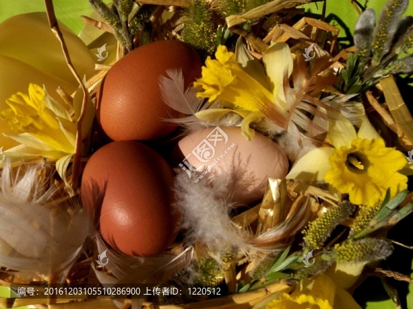 復(fù)活節(jié)彩蛋