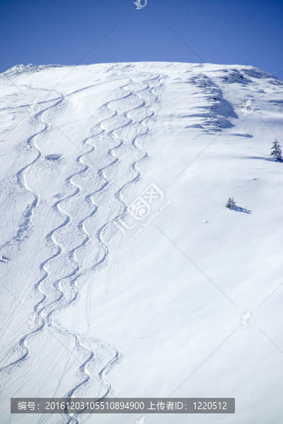 雪上的滑雪痕