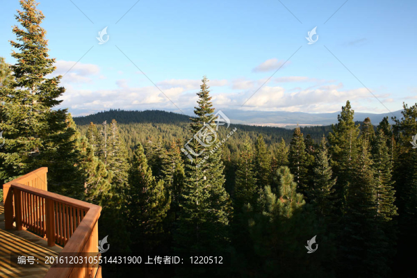 森林里的小屋