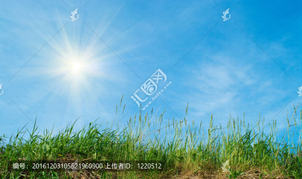 綠草和藍天