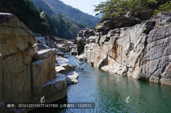 nezame不該