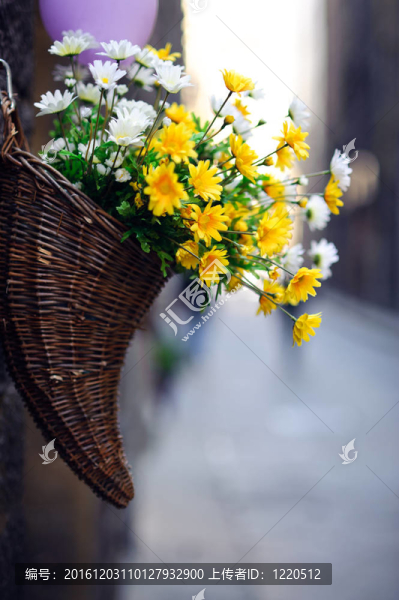 街上的花