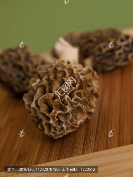 羊肚菌蘑菇