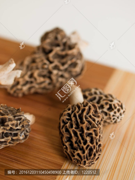 羊肚菌蘑菇