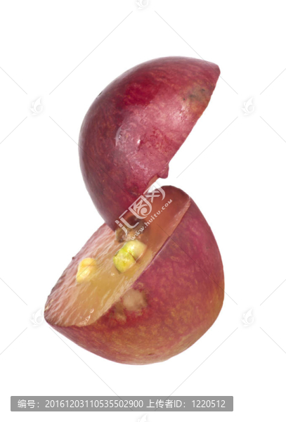 紅葡萄果實半透明切片；白色白色