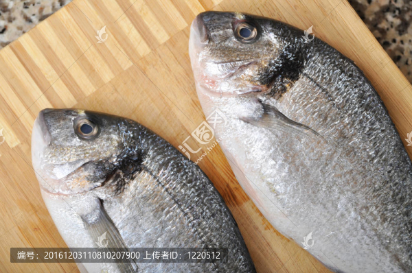 新鮮的魚