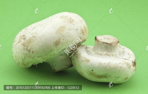 蘑菇