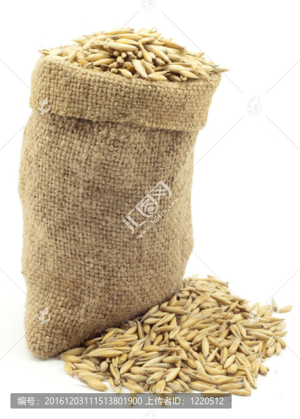 袋燕麥