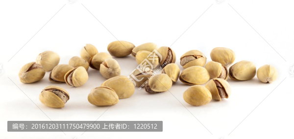 開心果
