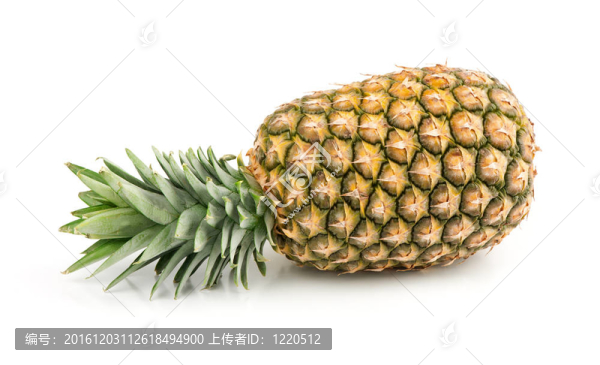 成熟的菠蘿