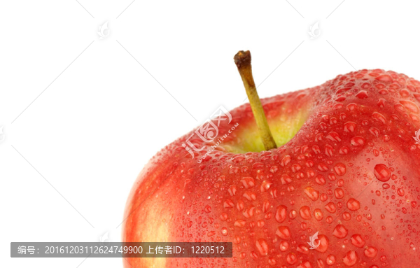 成熟的紅蘋果