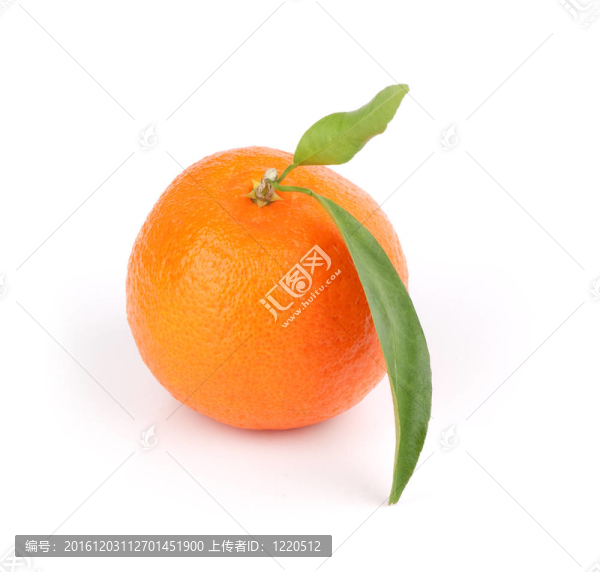 一個(gè)Tangerine夜店的特寫(xiě)