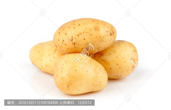 生土豆