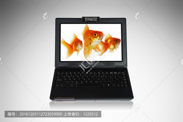 筆記本屏幕上的金魚