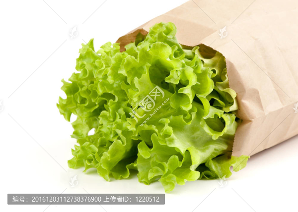 一種紙包裝的新鮮沙拉生菜