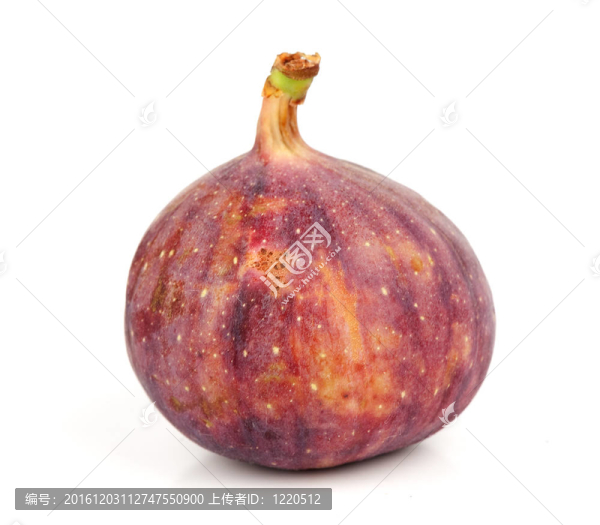新鮮的無花果