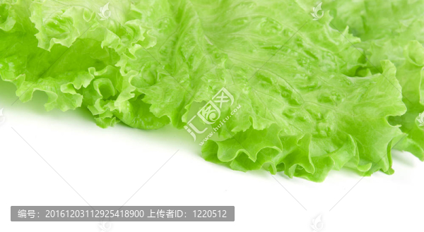 鮮綠生菜沙拉