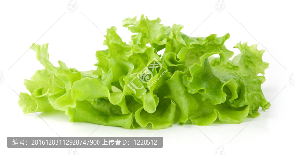 鮮綠生菜沙拉