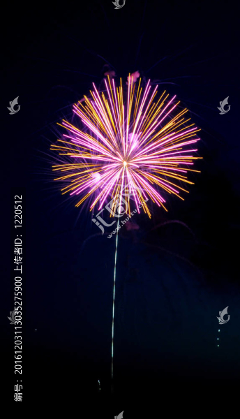 煙花爆竹愛荷華七月2011